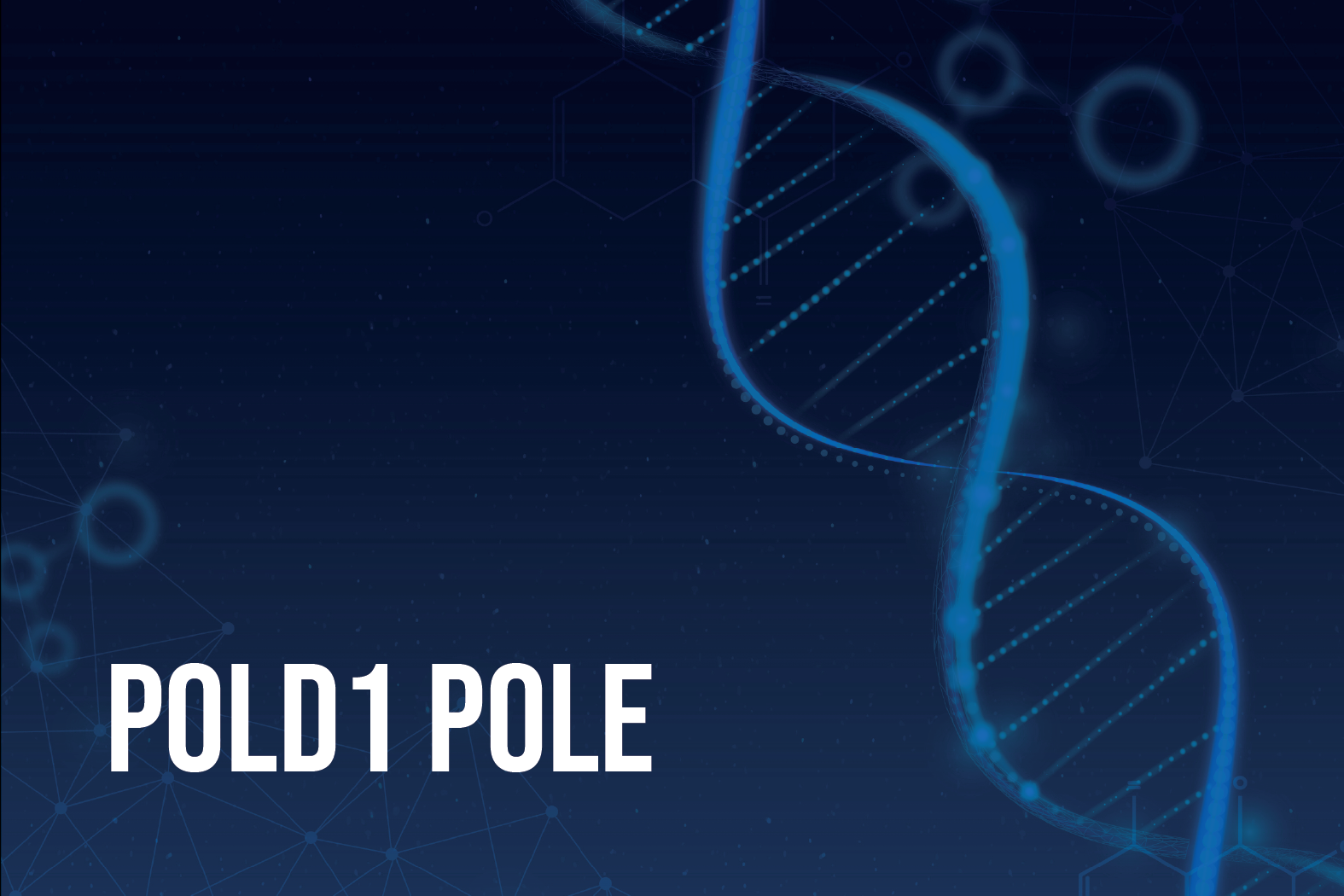 Risk management: Information for People with Inherited POLD1 and POLE  Mutations