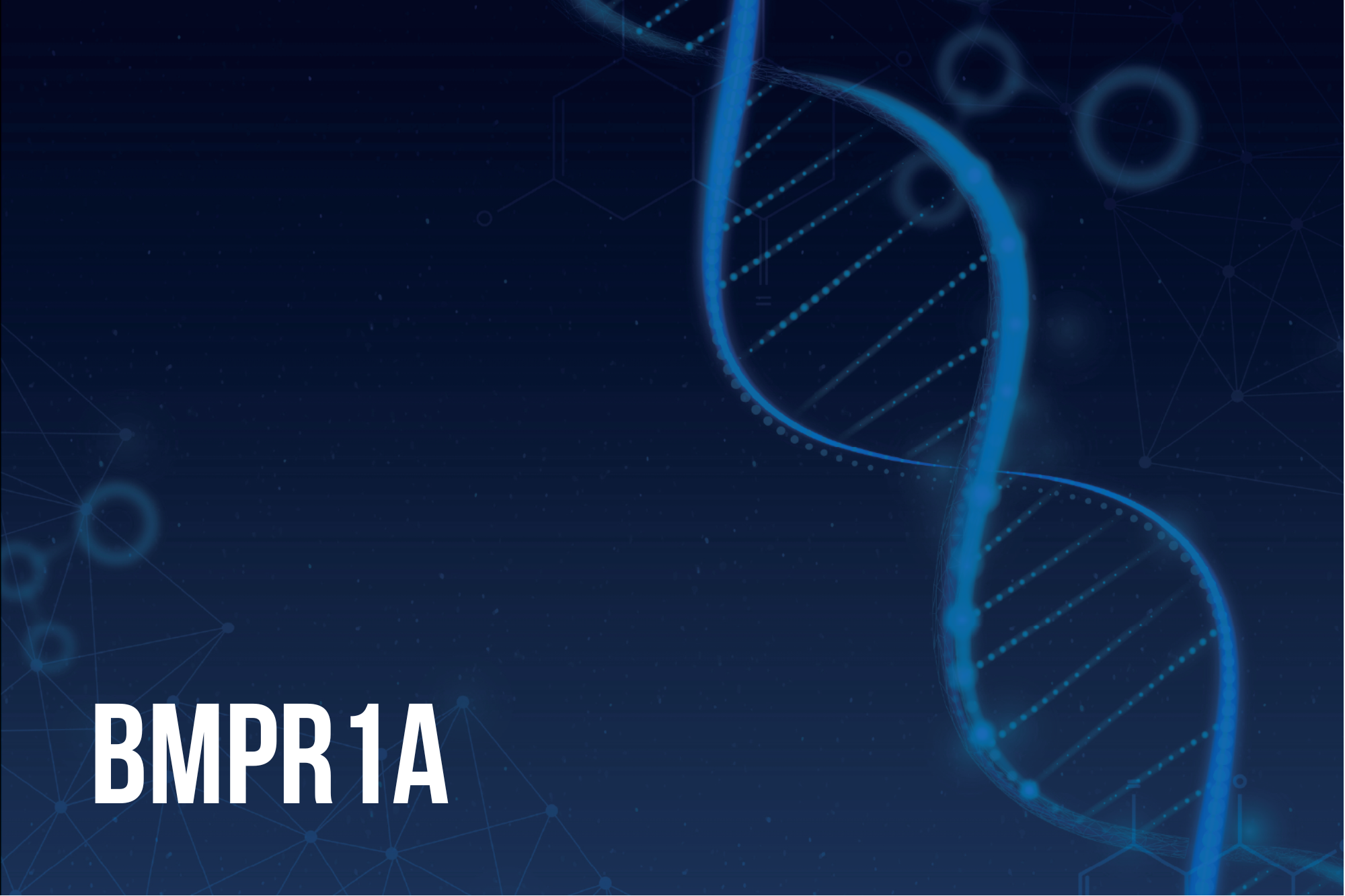 Risk management: Information for People with Inherited BMPR1A Mutations
